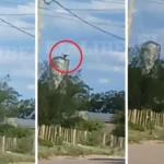 Imagen del momento- El liberal