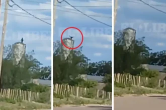 Imagen del momento- El liberal