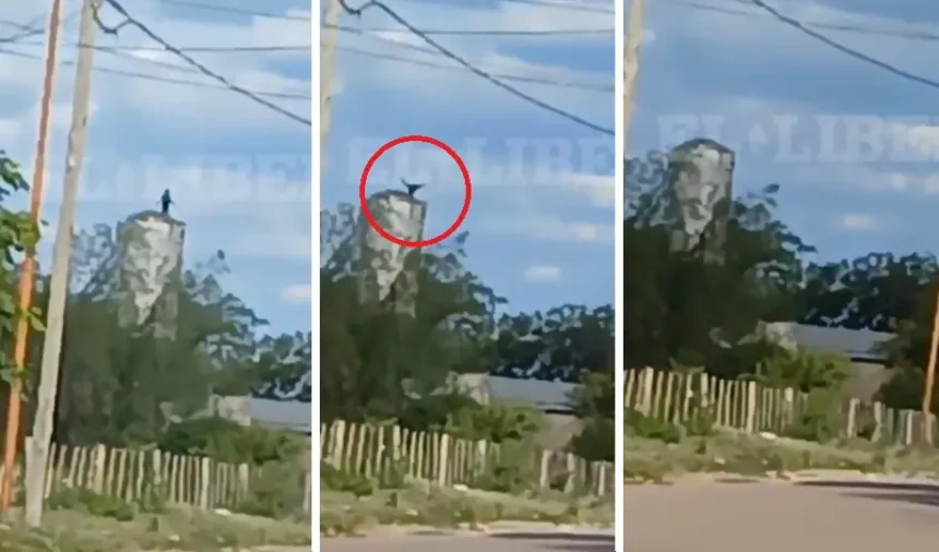 Imagen del momento- El liberal